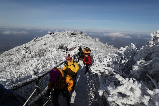 눈이 귀한 올 겨울 들어 보기 어렵던 상고대가 9일 덕유산 향적봉에 만개해 관광객들의 탄성을 자아냈다. [연합뉴스]