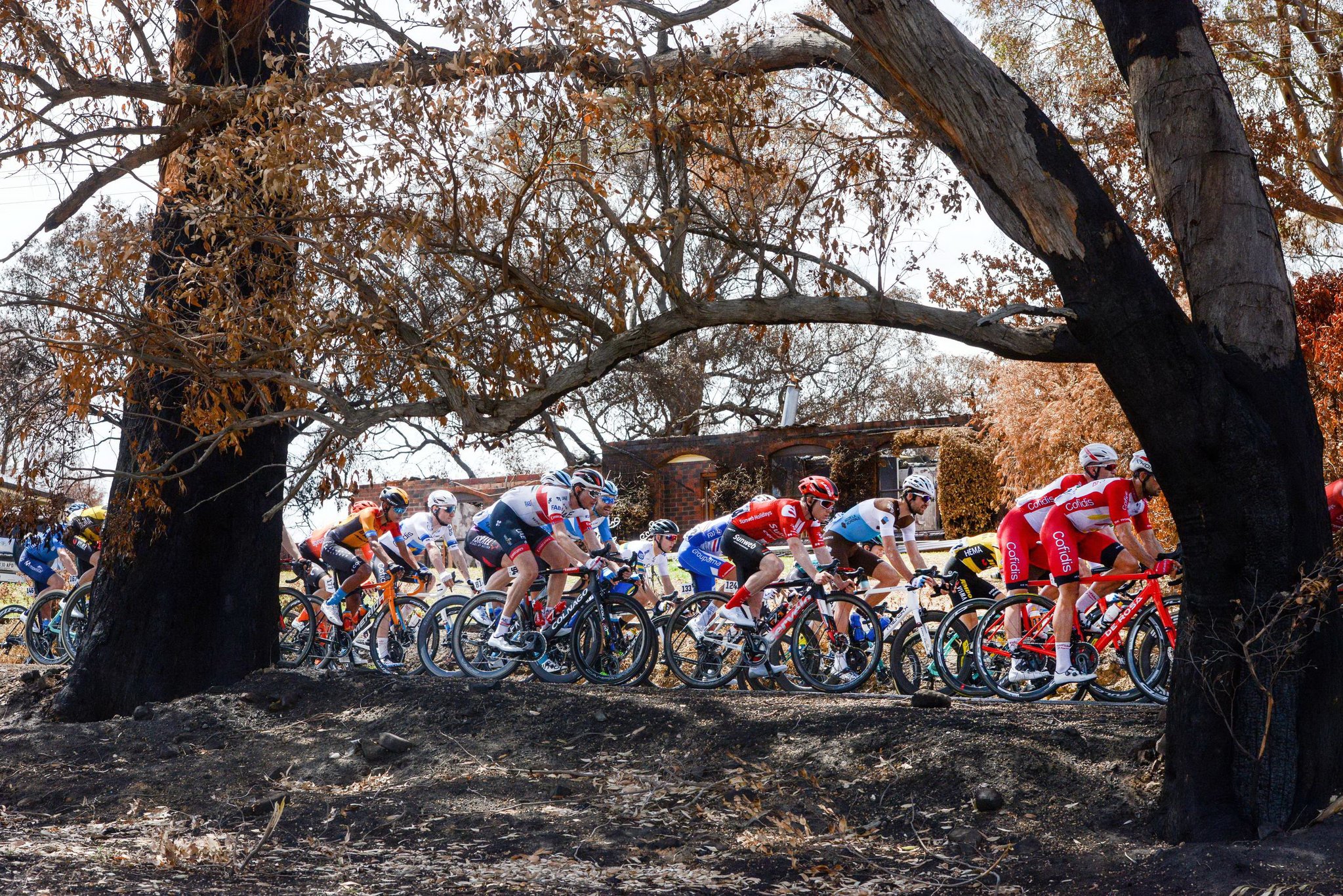 2020 '투어 다운 언더' 경기의 이틀째 경기에서 선두 그룹이 22일 애들레이드 힐스의 불탄 산지를 통과하고 있다. [REUTERS=연합뉴스]