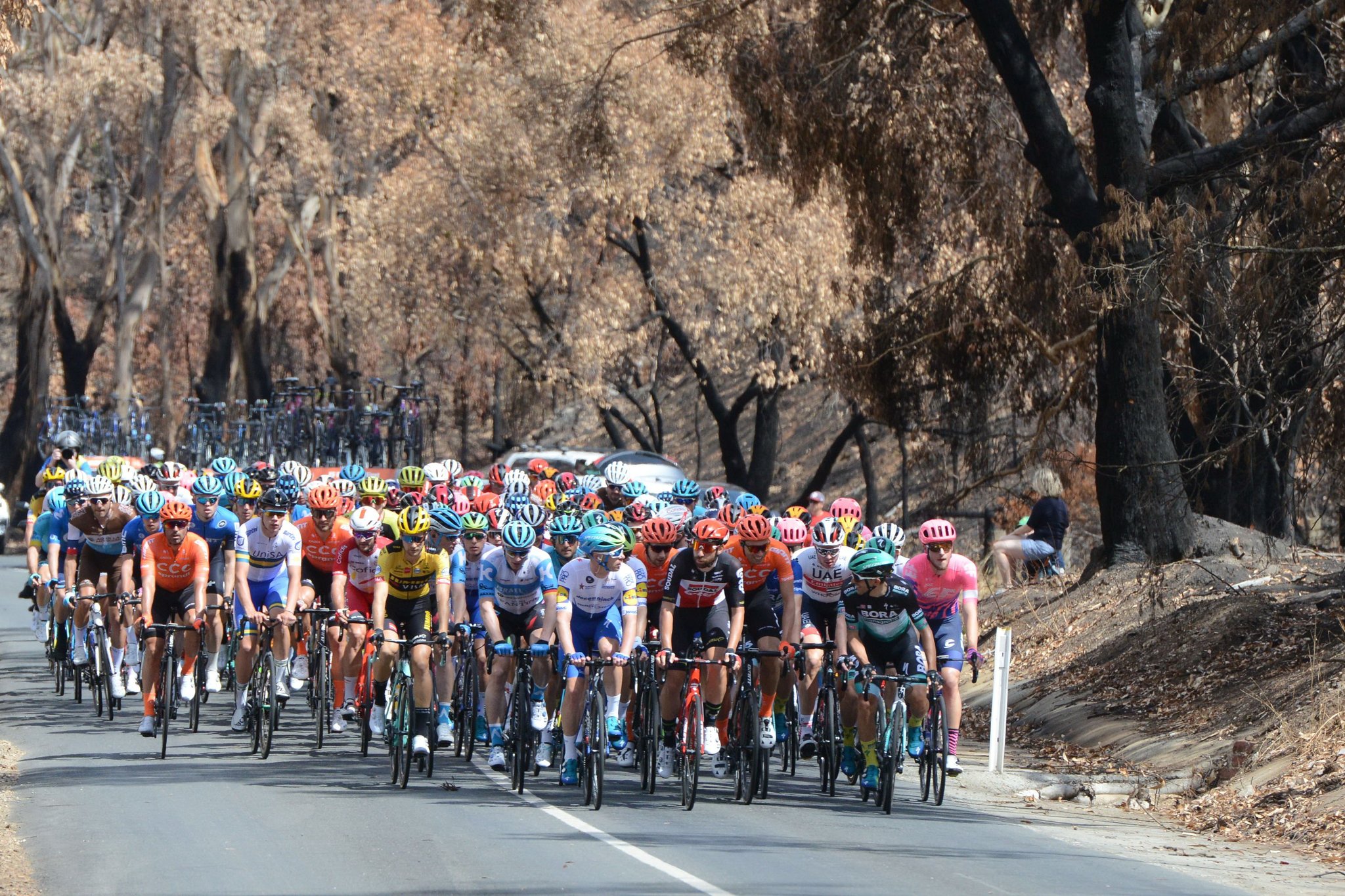 2020 '투어 다운 언더' 경기의 이틀째 경기에서 선두 그룹이 22일 애들레이드 힐스의 불탄 산지를 통과하고 있다. [REUTERS=연합뉴스]