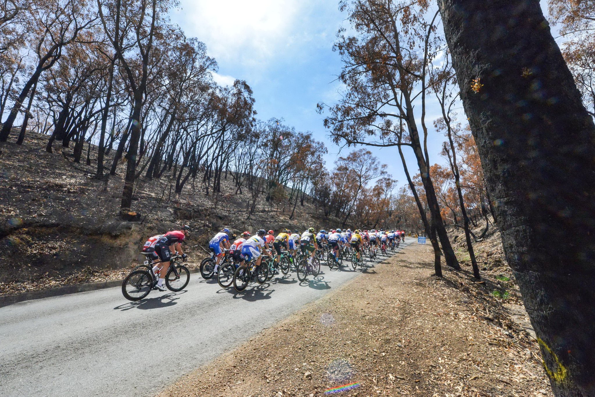 2020 '투어 다운 언더' 경기의 이틀째 경기에서 선두 그룹이 22일 애들레이드 힐스의 불탄 산지를 통과하고 있다. [REUTERS=연합뉴스]