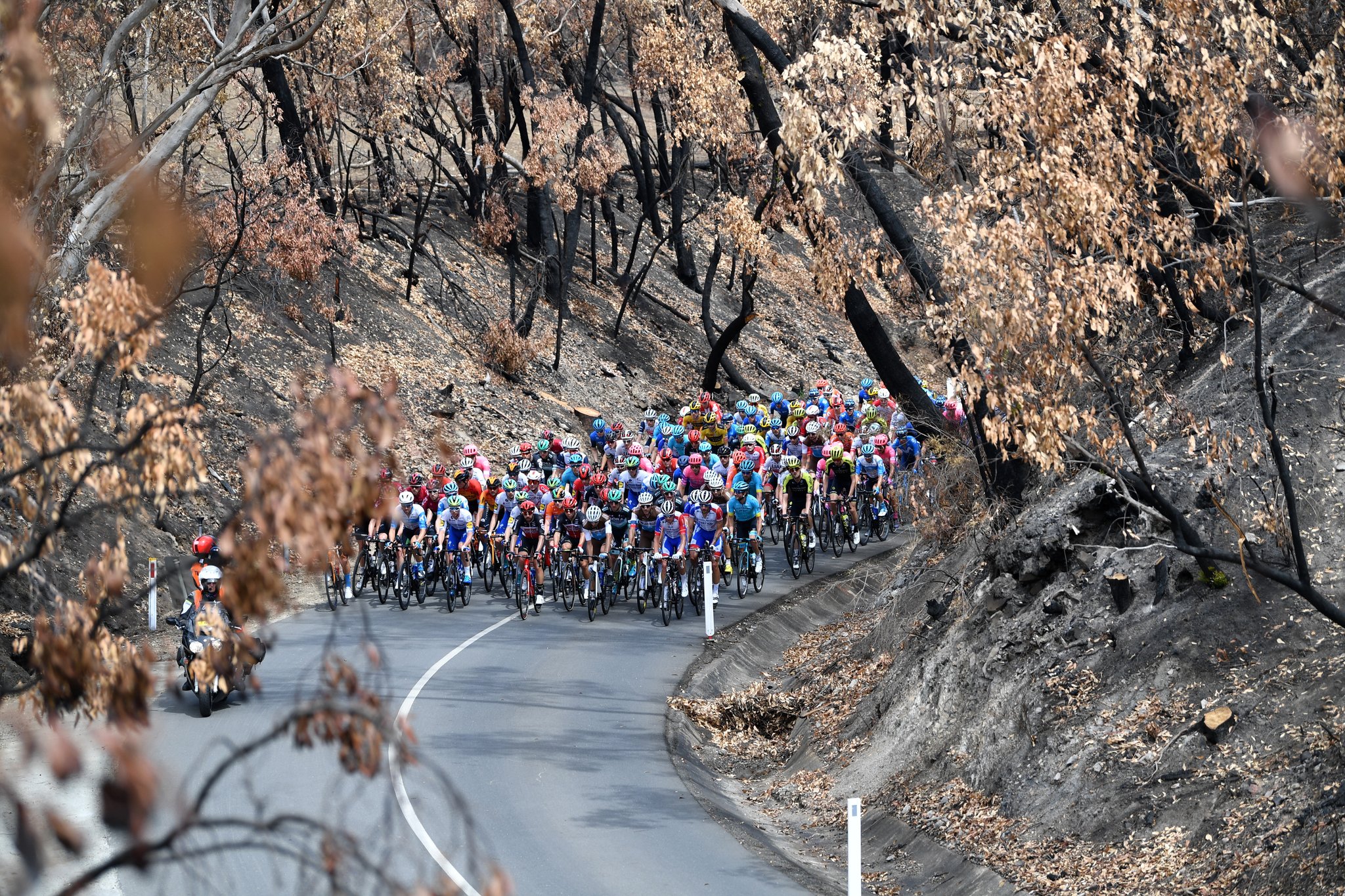 2020 '투어 다운 언더' 경기의 이틀째 경기에서 선두 그룹이 22일 애들레이드 힐스의 불탄 산지를 통과하고 있다. [REUTERS=연합뉴스]