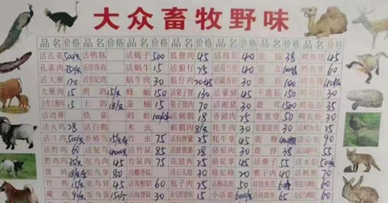 우한 폐렴이 시작된 곳으로 지목된 우한(武漢)시 화난(華南)수산물도매시장의 한 야생 동물 가게의 차림표. [연합뉴스]