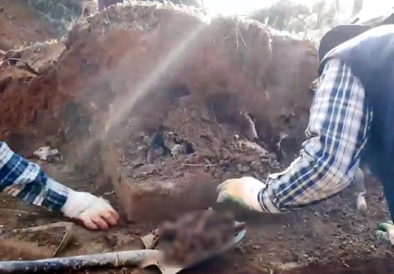 법무부는 지난달 19일 옛 광주교도소 내 무연고 묘지 개장 작업 중 신원을 알 수 없는 유골 40여구를 발견했다고 밝혔다. 사진은 작업자들이 유골을 수습 중인 모습. [연합뉴스]