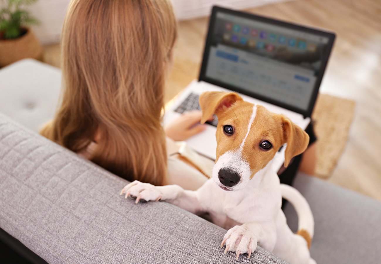 내게 딱 맞는 원격근무 솔루션, 어떤 게 있을까.