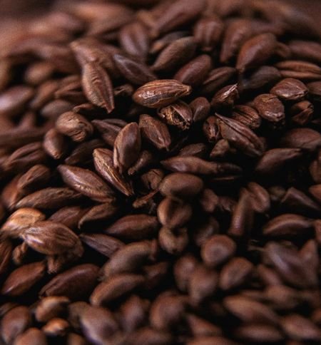 로스팅 몰트. [사진 글렌모렌지]