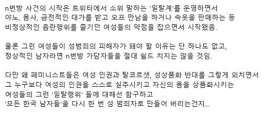 한 온라인 커뮤니티 이용자가 텔레그램 N번방 피해자들이 SNS에서 '일탈계'를 했다며 도덕성 문제를 제기하고 있다. [온라인 커뮤니티 캡쳐]