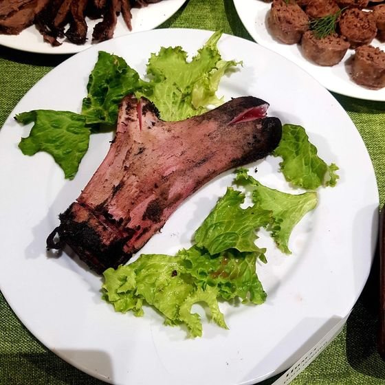 순록뿔 요리. 단단해지기 전 부드러운 뿔을 요리해 먹는다. 겉은 솜털로 덮혀있는데, 구워서 그대로 먹는다고 한다. 소금에 찍어서 먹는다. [사진 한국해양수산개발원]