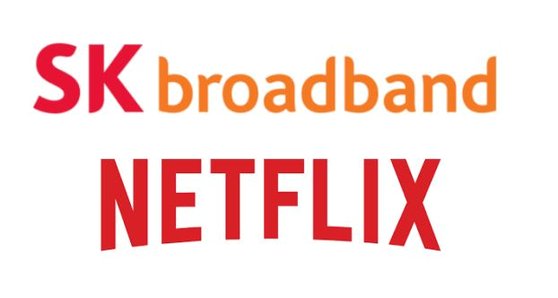 넷플릭스가 SK브로드밴드를 상대로 소송을 제기했다. '망 이용료'를 놓고 두 회사는 지난해부터 첨예한 갈등을 빚어왔다.