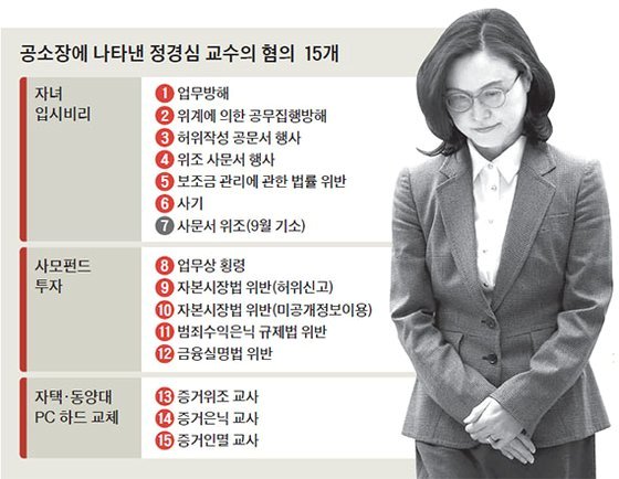 정경심 교수의 혐의[그래픽=민자영기자]