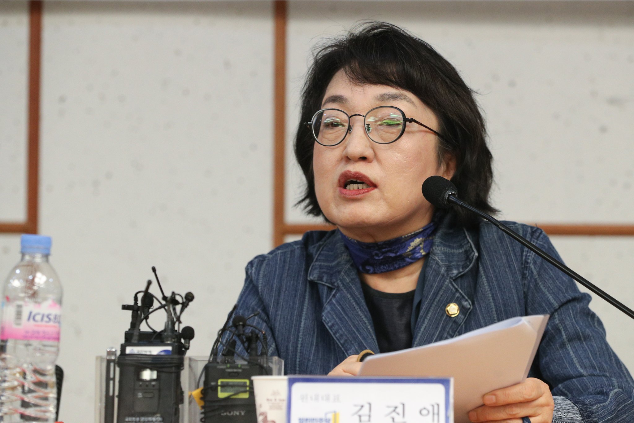 2일 오전 서울 여의도 국회 의원회관에서 열린 열린민주당 신임 지도부 기자간담회에서 김진애 원내대표가 발언을 하고 있다. 뉴스1