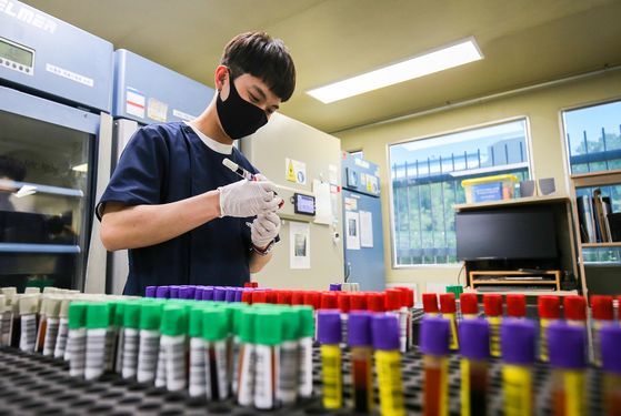 지난 15일 대한적십자사 광주·전남혈액원 직원이 혈청 검체를 분리하고 있다. 광주-프리랜서 장정필〈br〉