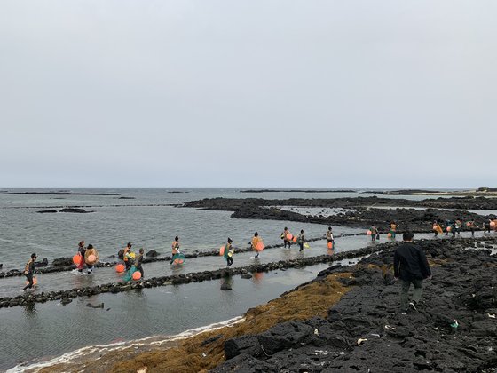 지난해 5월 제주해녀들이 테왁(바다작업용 물에 뜨는 스티로폼)과 망시리(채취한 해산물을 담는 주머니)를 들고 제주시 구좌읍 앞바다로 물질 을 하기 위해 걸어 들어가고 있다. 최충일 기자