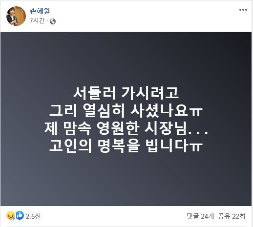 [사진 손혜원 페이스북 캡쳐]
