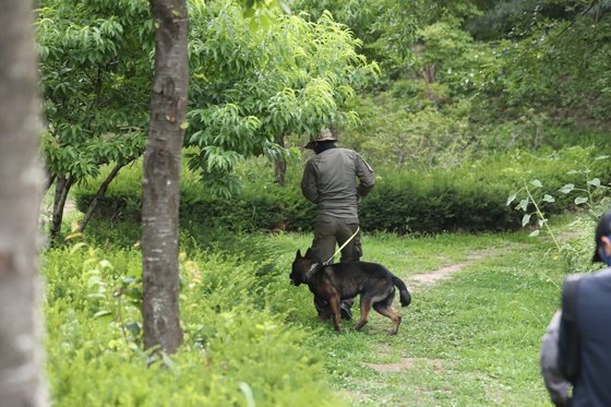 경찰에 박원순 서울시장이 실종됐다는 신고가 들어온 9일 오후 서울 종로구의 와룡공원 인근에서 경찰특공대 수색견이 현장에 투입되고 있다. 연합뉴스