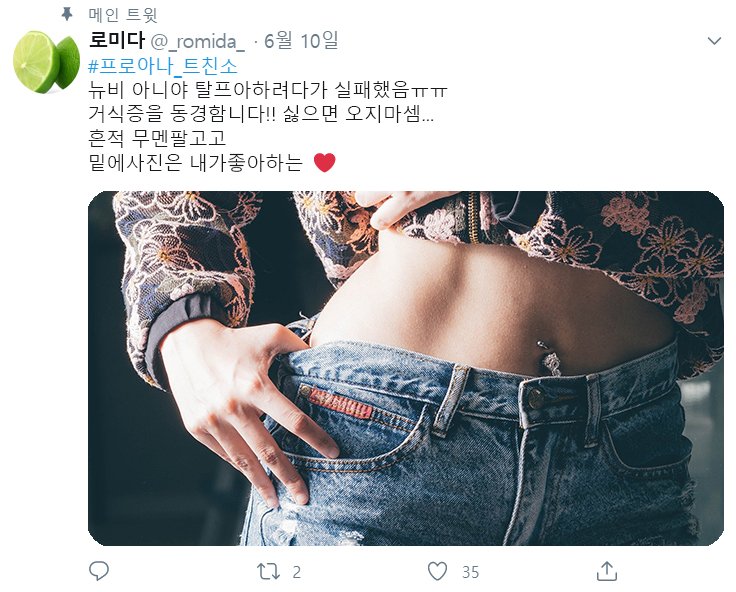 트위터에 '프로아나'를 검색했을 때 나오는 게시물 중 하나. 아이디, 닉네임, 프로필 사진은 가상으로 재구성했다. '뉴비'는 풋내기, '무멘팔'은 '멘션 없이 팔로우'를 뜻한다. [트위터 캡처, pixabay]