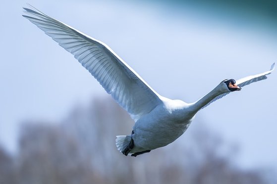 새로운 패러다임의 전환이 필요한 시기이다. 누가 먼저 발 빠르게 선점하느냐에 따라 금융의 지형도 바뀔 것이다. 과거에 얽매이지 않는 완전히 다른 차원의 금융이 새 시대를 이끌어 갈 것이다. [사진 pixabay]