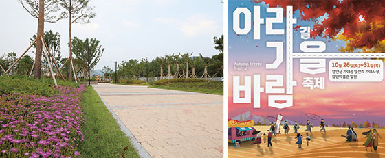 아라길 가을바람 축제(사진 함안군청)