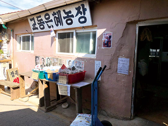 역대 대통령 선거 포스터를 붙여 놓은 ‘교동은혜농장’의 벽.