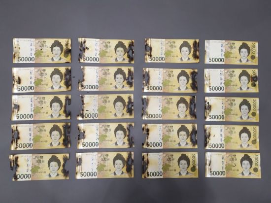 전자레인지에 넣어 돌렸다가 타버린 지폐. [사진=한국은행]