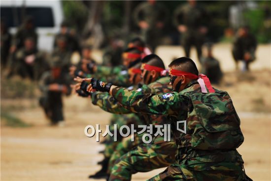 한국 해군과 해병대가 참가한 코브라골드 연합상륙훈련 중 해병대의 특공무술 시범행사. (사진=해군)