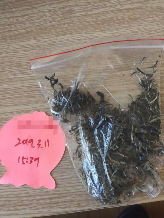 11일 메신저로 접촉한 마약 판매상에게 인증을 요구하자 기자의 메신저 아이디가 적혀있는 종이와 대마 잎으로 보이는 물건 사진을 찍어 보냈다.