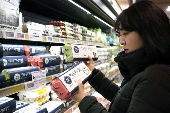 기사와는 상관없음.