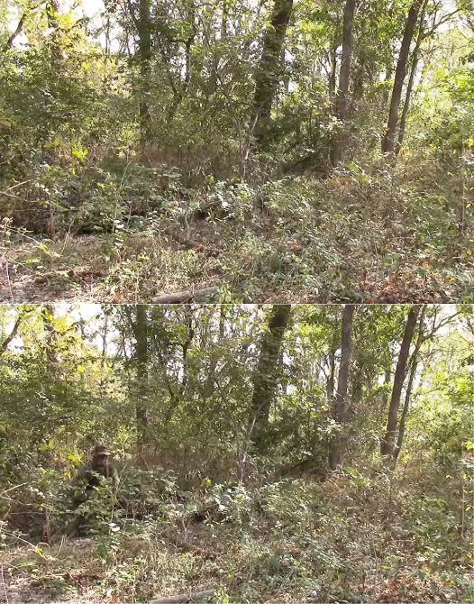 최근 전세계적으로 디지털 무늬 전투복이 높은 평가를 받고 있습니다. 위 사진에 디지털 무늬 위장 전투복을 입은 군인 한 명이 은폐해 있습니다. 찾았나요? 아래 사진의 왼쪽에 은폐했다가 다시 움직이기 시작하는 군인이 보입니다. [사진=유튜브 화면캡처]