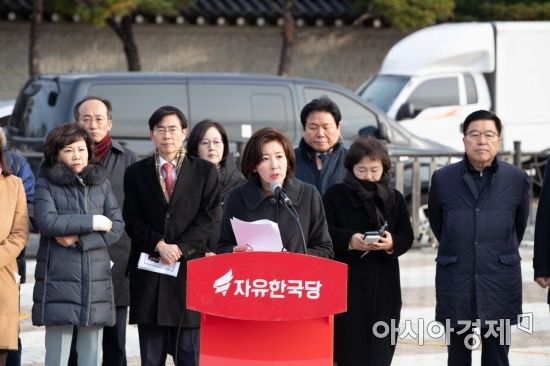 나경원 자유한국당 원내대표가 25일 서울 종로구 청와대 분수대 앞에서 열린 '최고위원회의'에 참석해 모두발언 하고 있다./강진형 기자aymsdream@