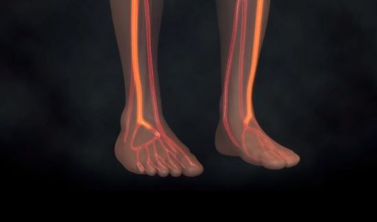 발은 혈액의 끝의 아니라 순환하는 곳입니다. 중요한 동맥 등 혈관이 거미줄처럼 얽혀 있는 곳입니다. [그림=유튜브 화면캡처]