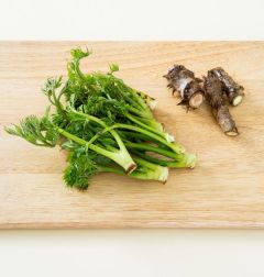 2. 두릅은 단단한 부분을 잘라내고 손질하여 끓는 물에 소금을 넣어 2분 정도 데쳐서 찬물에 헹구어 건진다.