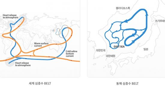국내 해양심층수 업체들이 주장하는 동해의 해양심층수 벨트 [그림=(주)글로벌심층수]