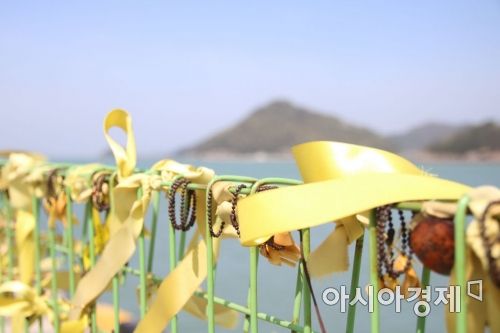 세월호 참사 6주기를 맞은 16일 팽목항에 빛바랜 노란 리본이 나부끼고 있다.