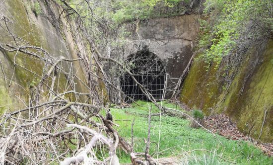 27일 고성군 현내면 명파리 옛 동해북부선 배봉터널에 잡초가 무성한 모습이다. 이날 김연철 통일부 장관, 김현미 국토교통부 장관, 권구훈 북방경제협력위원회 위원장, 최문순 강원도지사가 현장을 방문해 동해북부선 철도사업 현장을 둘러보았다. <사진=공동취재단>