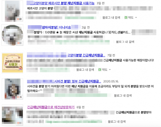 최근 온라인 사이트 블로그를 중심으로 '긴급재난지원금으로 반려동물을 구매할 수 있다'라는 글이 다수 올라와 논란이 일고 있다./사진=포털 사이트 화면 캡쳐