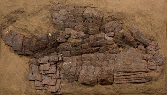 마갑총 출토 말 갑옷 좌우측