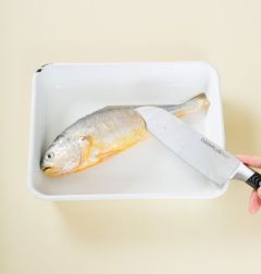 1. 조기는 비늘을 제거하고 가위로 지느러미를 잘라낸 다음 1cm간격으로 칼집을 넣는다.