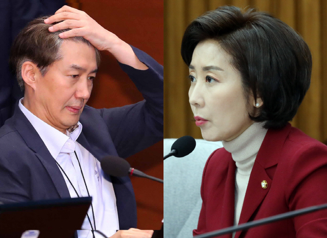 조국 청와대 민정수석(왼쪽)과 나경원 자유한국당 원내대표(사진 = 뉴시스)