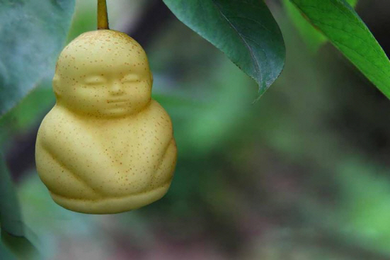 부처 모양 배.(사진=프루트 몰드 컴퍼니)