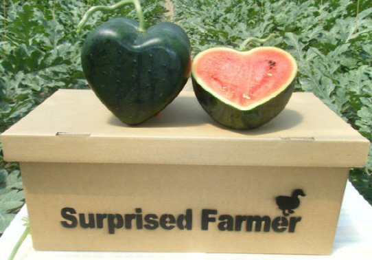 하트모양 수박 (사진=일본 쇼핑사이트 라쿠텐)