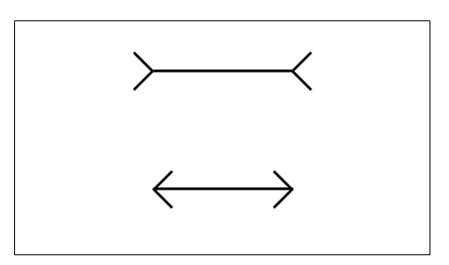 위 그림에서는 실제는 같지만 위가 더 길어보이고 아래는 상대적으로 더 짧아보이는 착시현상이 나타난다. 그림=홍성현 과학커뮤니케이터.