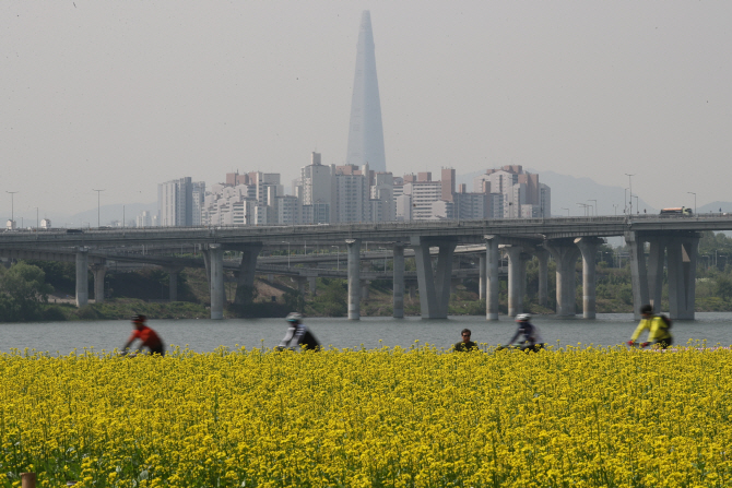 9일 경기도 구리시 토평동 한강시민공원에서 자전거를 탄 시민들이 유채꽃 사이를 달리고 있다. (사진=연합뉴스)