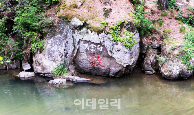 소수서원 입구 죽계수 건너편에는 물가로 튀어나온 경자바위가 있는데, 거기에 새겨진 ‘경’자는 주세붕이 백운동서원을 창건하고 쓴 글씨이다