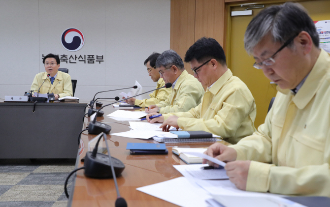 이재욱(왼쪽 끝) 농림축산식품부 차관이  31일 오전 8시 세종청사에서 긴급 방역상황점검회의를 열고 방역 당국 관계자와 북한 내 아프리카돼지열병(ASF) 발생에 따른 국내유입 방지 대책을 논의하고 있다. 농식품부 제공