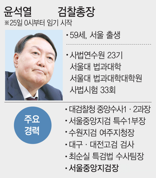 (그래픽=이데일리 김다은 기자)