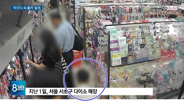 SBS ‘8뉴스’ 캡처.