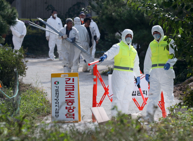 다섯번째 아프리카돼지열병(ASF) 확진 판정을 받은 인천시 강화군 송해면 돼지농장 입구에서 25일 방역관계자들이 출입을 통제하고 있다. 연합뉴스 제공