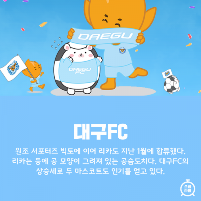 (사진 = 대구FC 홈페이지)