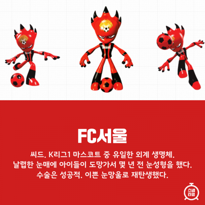 (사진 = FC서울 홈페이지)