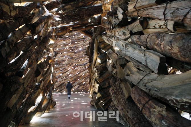 최옥영 작가의 작품 ‘목성(木星)’으로 들어가는 입구