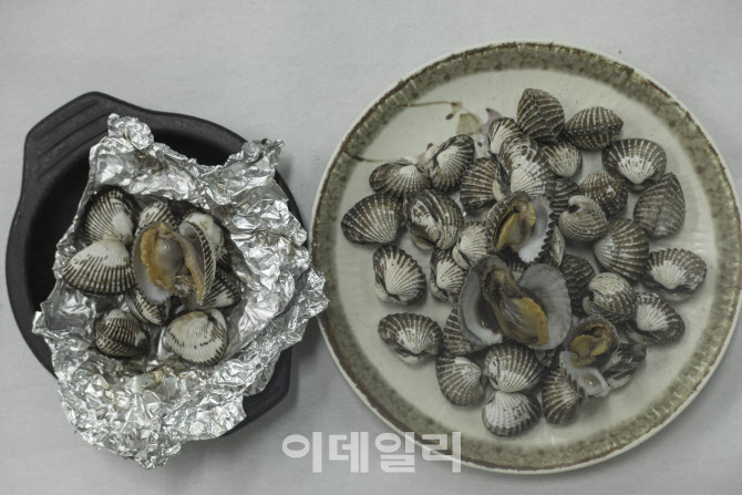 참꼬막과 새꼬막